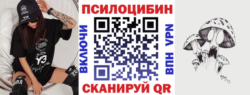 цена наркотик  KRAKEN ССЫЛКА  Галлюциногенные грибы Psilocybe  Дудинка 